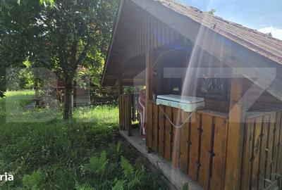 Casă cu 4 camere în Cetea - 6