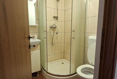 Apartament cu 4 camere decomandat, mobilat în Torontalului - 19