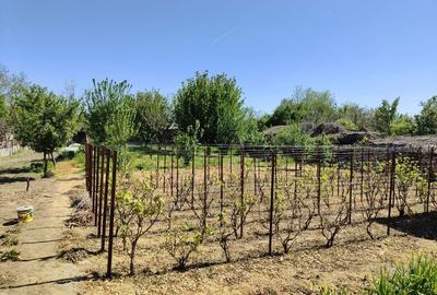 Casă cu 4 camere în Mitreni - 5