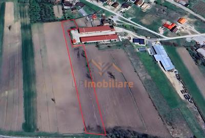 Teren de 4367 mp, în Hidiș - 1