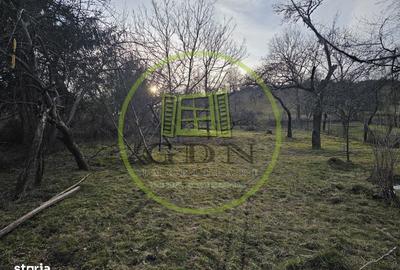 Casă cu 4 camere cu Teren 1000 Mp în Cărpinet - 4