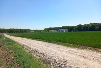 Spațiu comercial, în Lupăria - 2