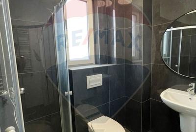 Apartament cu 2 camere semidecomandat în Ciurea