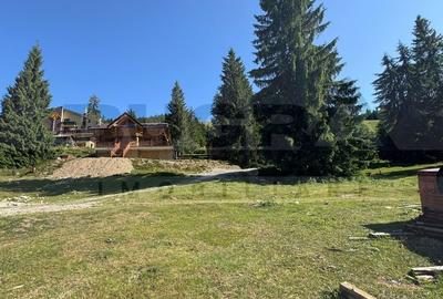 Teren Construcții intravilan de 250 mp, în Arieșeni - 4
