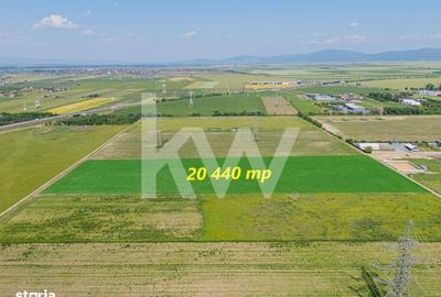 Teren de 20440 mp, în Triaj - 19