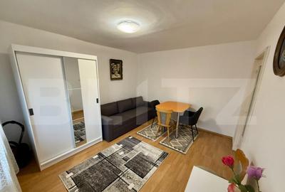 Garsoniera, 36 mp, zona Brazda - 1