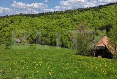 Teren de 3400 mp, în Bran - 3
