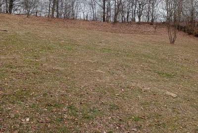 Teren de 3400 mp, în Central - 2