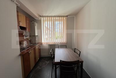 Apartament 3 camere, zona parcului Tudor Vladimirescu - 10