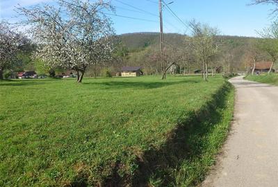Teren Intravilan  in Luncoiu de Jos, Jd Hunedoara - 10
