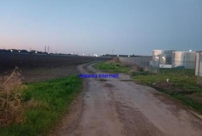 Teren constructie hale - 2