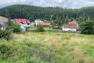 Teren Vatra Dornei 1504 mp - 3