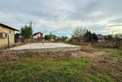 Teren pentru dezvoltare proiect imobiliar Domnesti-Centru - 7