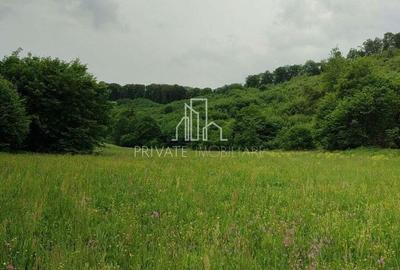 Teren de vanzare, 20.000Mp , Comuna Danes, drumul Crisului - 7