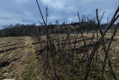 Spațiu comercial, în Măgura - 2