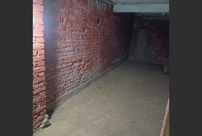 Spațiu comercial generos, la drum principal, localitatea Daia - 10