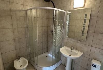 Proprietate cu piscina Dumbravita - 34