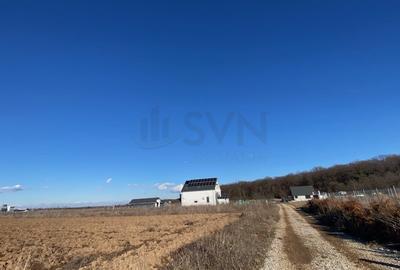 Teren agricol extravilan de 8100 mp, în Ciolpani - 2