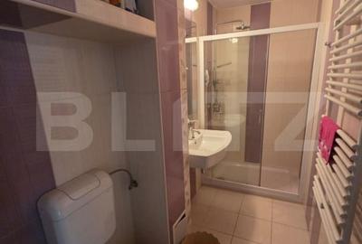 Apartament 2 camere, 58 mp, ultracentral, spatios si complet renovat! - 7