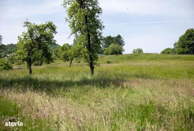 Spațiu comercial, în Moieciu - 6