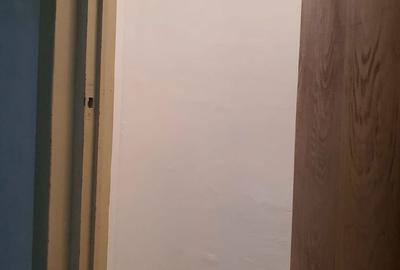 Apartament cu 3 camere decomandat în Valea Cetății - 17