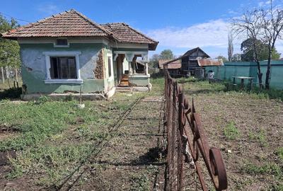 Casă cu Teren 3900 Mp în Scăpău - 3