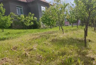 Casa de vanzare 100 m2 +teren 1200m2 toate utilita?ile - 10