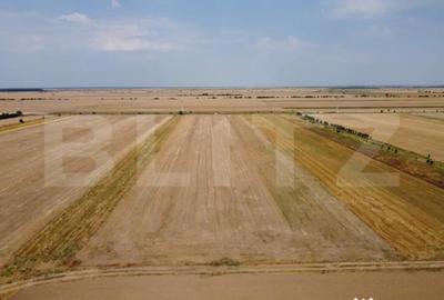 Teren de 7500 mp, în Central - 2