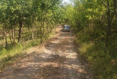 Spațiu comercial, în Valea Unghiului - 5