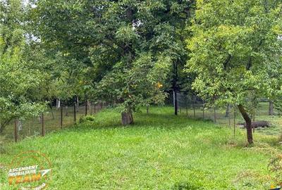 FILM! Domeniu de 1.660mp,cu doua case, atelier si anexe,Lemnia,Covasna - 9