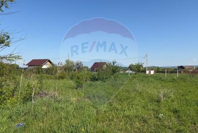 Teren 500 mp | Harman - zona Fish for Life| PUZ existent Teren 500 mp | Harman - zona Fish for Life| PUZ existent - 4