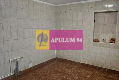 Casă cu 2 camere cu Teren 5000 Mp în Bucșani - 12