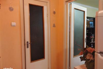 Apartament cu 2 camere în Gojdu - 4