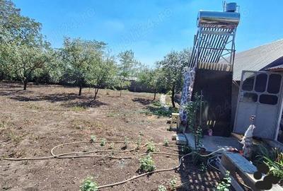 Casă cu 3 camere cu Teren 780 Mp în Troianul - 7