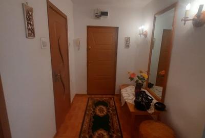 Drumul Taberei, Parc Moghioros - 18