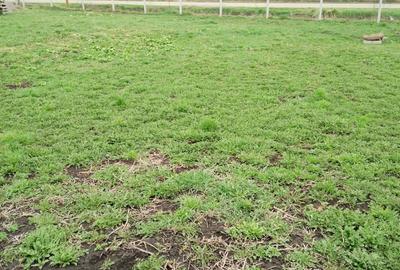 Teren de 3000 mp, în Călărași - 7