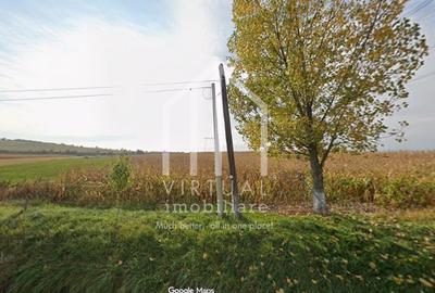 Teren agricol intravilan de 6695 mp, în Șura Mare - 2