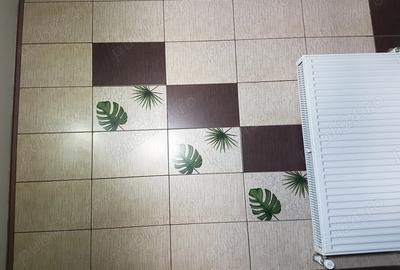 Vand casa cu mansarda - 2