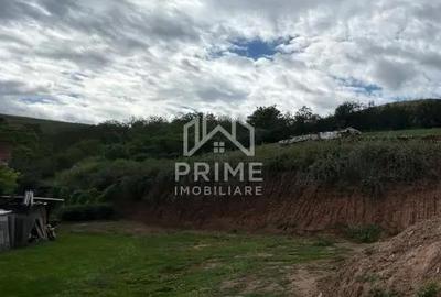 Teren de 3000 mp, în Șard - 2