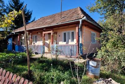 Casă individuală cu 2 camere cu Teren 1000 Mp în Ulieș - 1