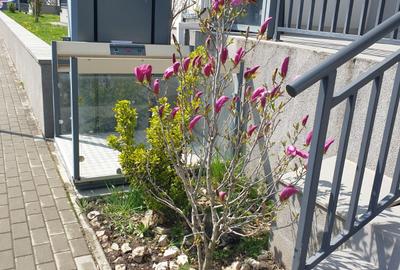 Apartament cu 3 camere decomandat, mobilat în Tractorul - 1