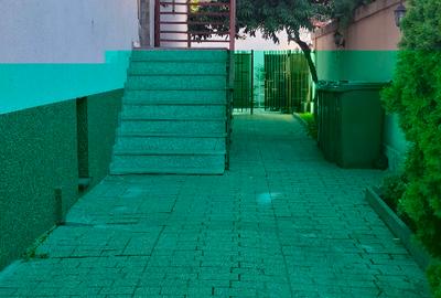 3 camere + curte proprie Bucurestii Noi / Bazilescu /LIDL