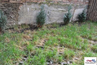 Spatiu Comercial de Inchiriat in Zona Centrala - 1