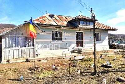 Casa, teren si padure, in sat Siscani, jud Vaslui - 2