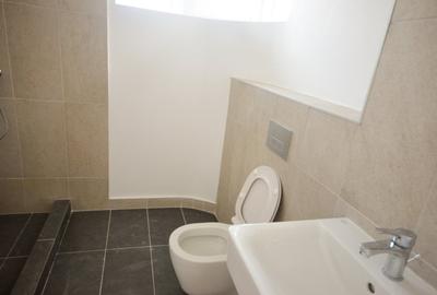 Apartament cu 3 camere semidecomandat în Tineretului - 10