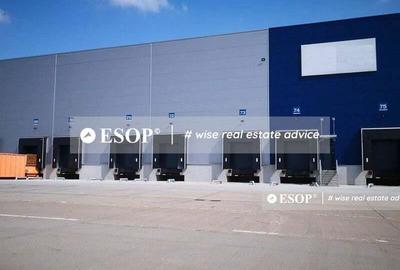 Spațiu comercial, de 7,000 mp, în Theodor Pallady - 1
