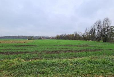 Teren de 3000 mp, în Brănești - 3