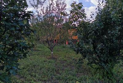 Anun? de vanzare - Casu?a din livada - 5