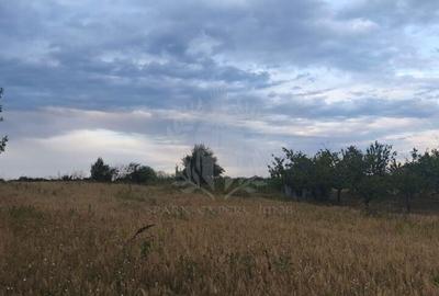 Teren de 20881 mp, în Nord