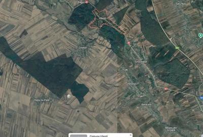 Teren de 10000 mp, în Uliești - 1